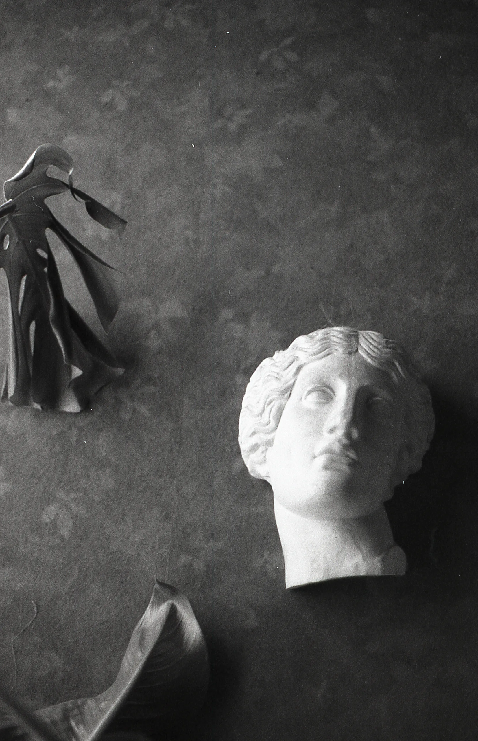 Film photograph taken on 7 September 2017