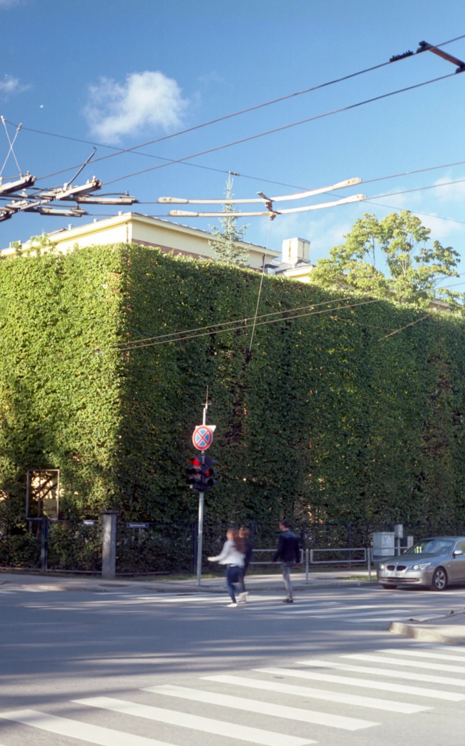 Film photograph taken on 8 September 2016