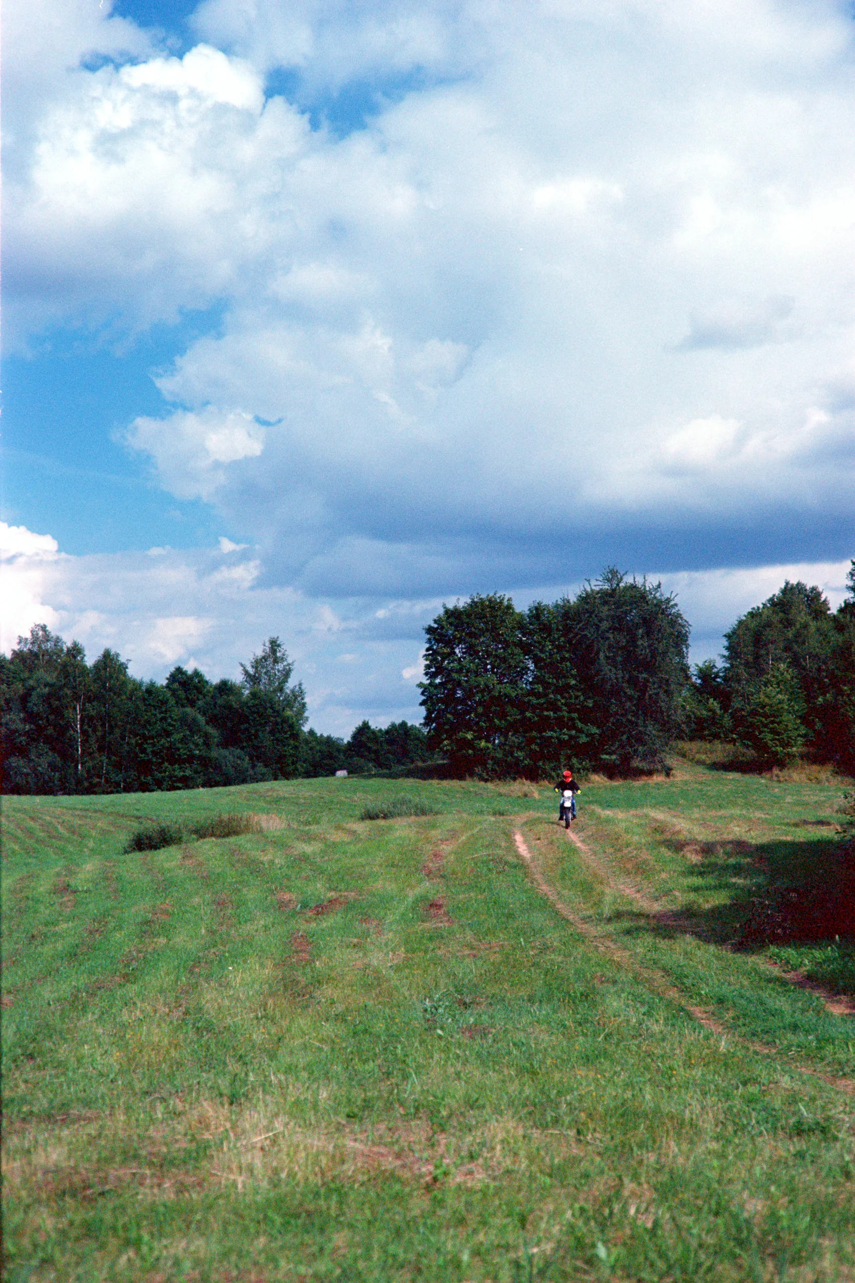 Film photograph taken on 19 August 2021