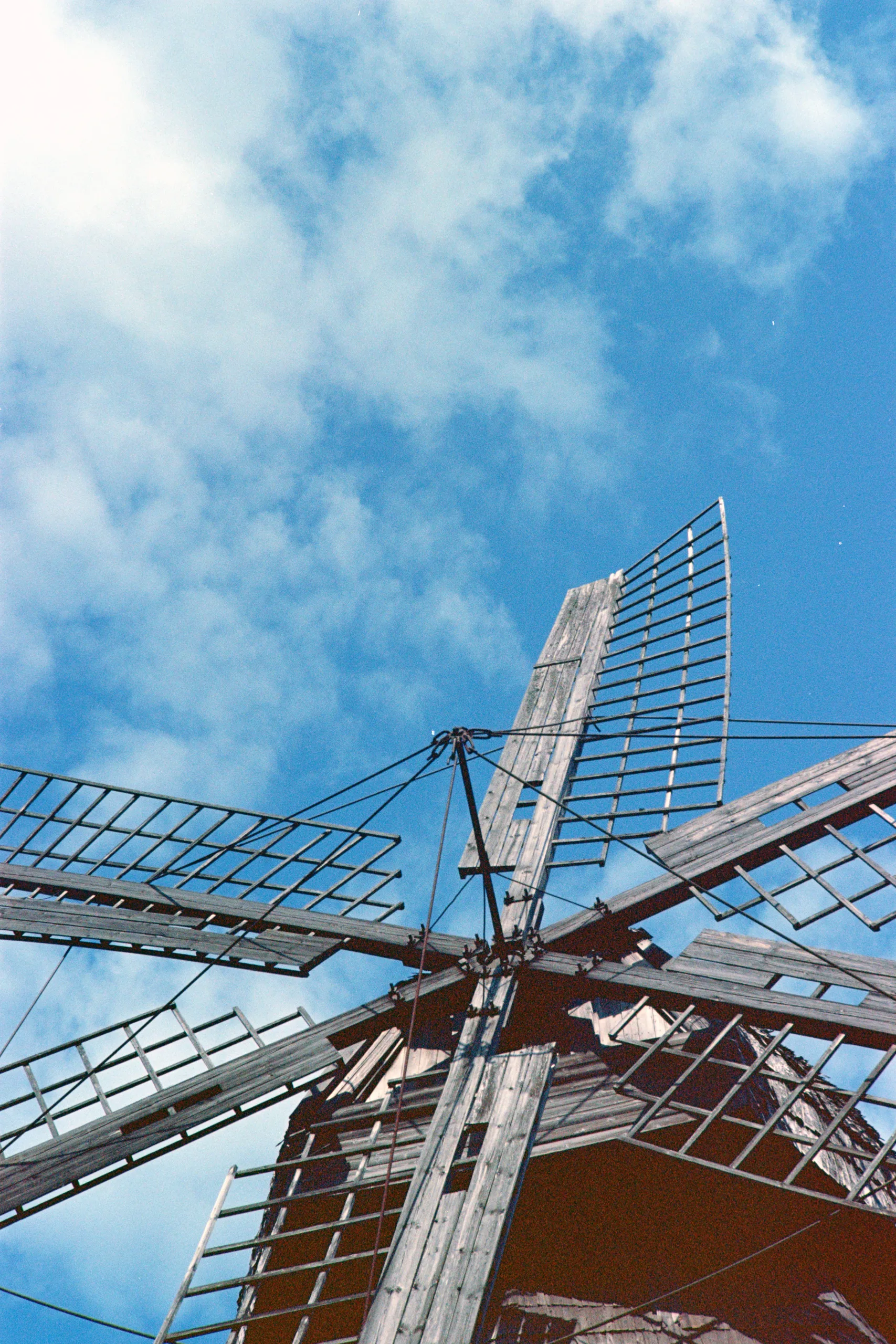 Film photograph taken on 19 August 2021