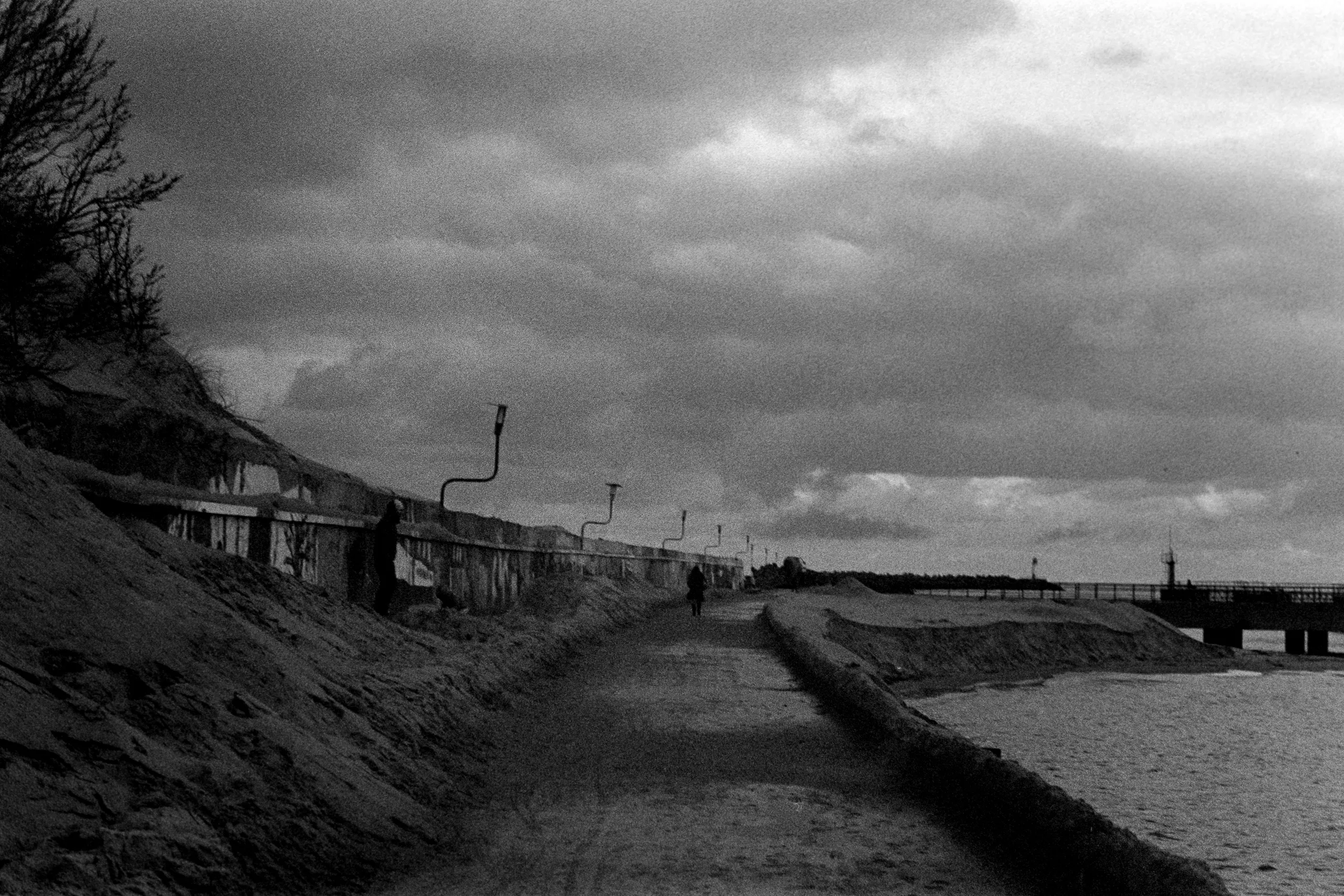 Film photograph taken on 12 November 2019