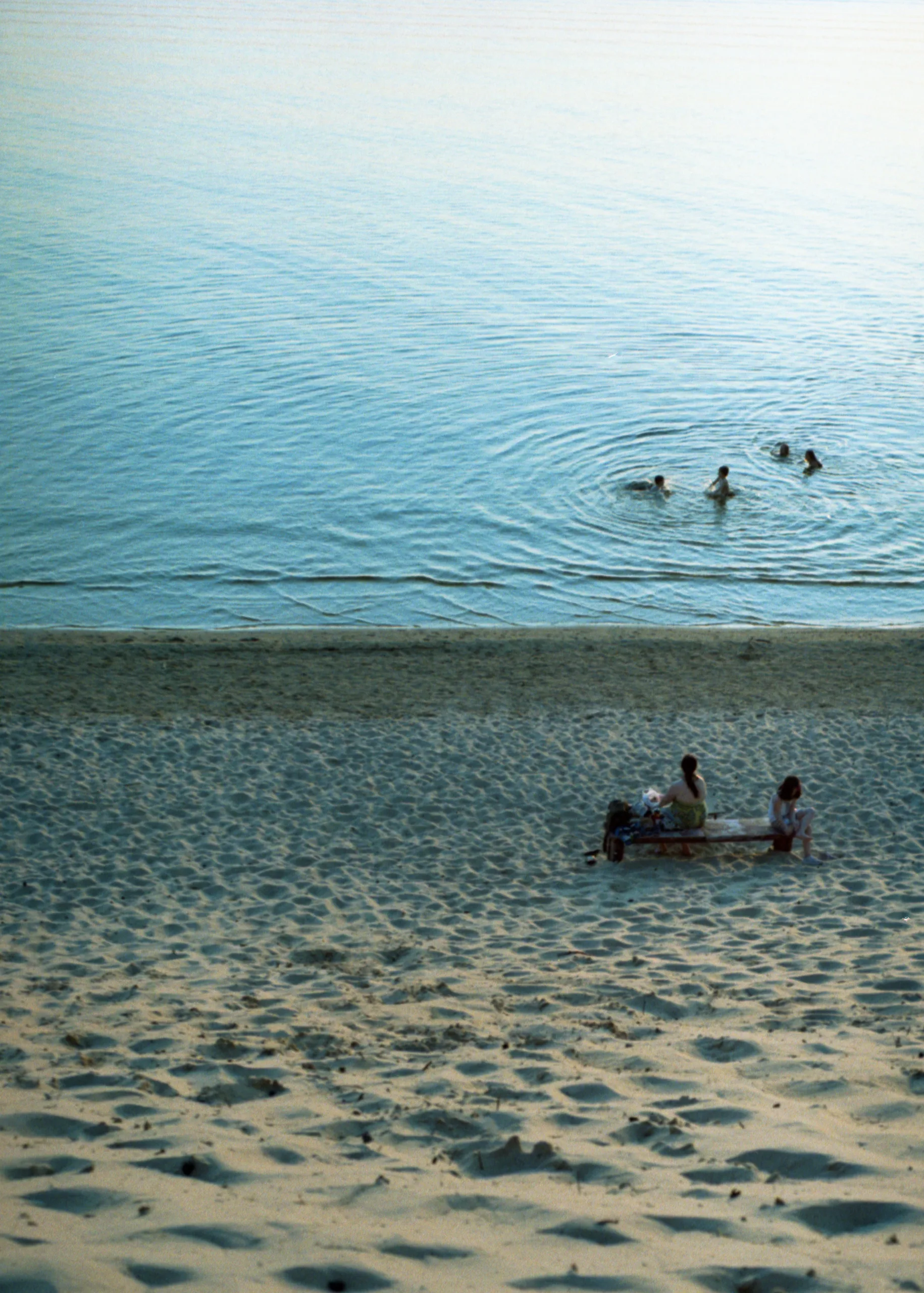 Film photograph taken on 13 July 2016