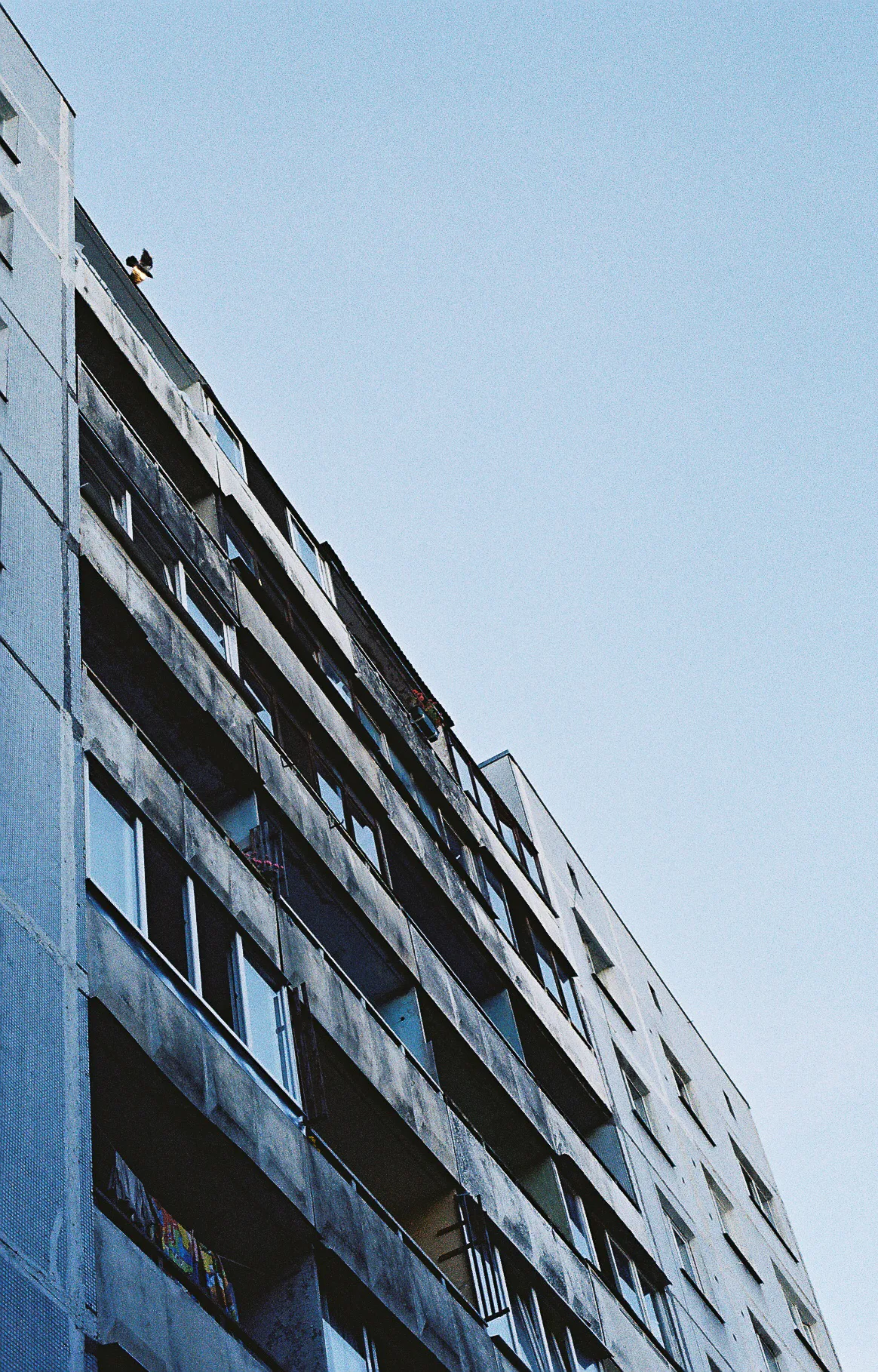 Film photograph taken on 19 August 2015