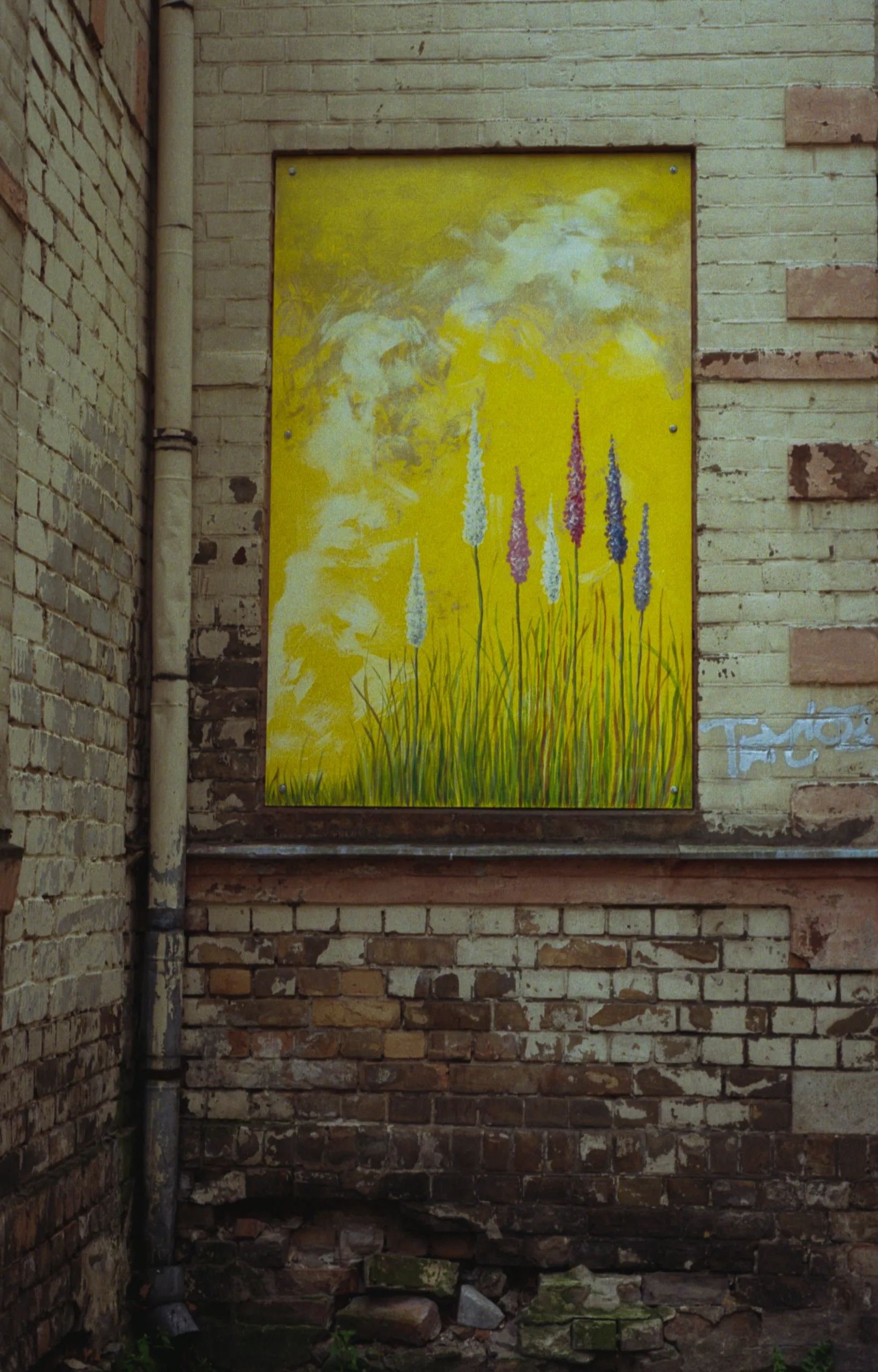 Film photograph taken on 8 November 2015