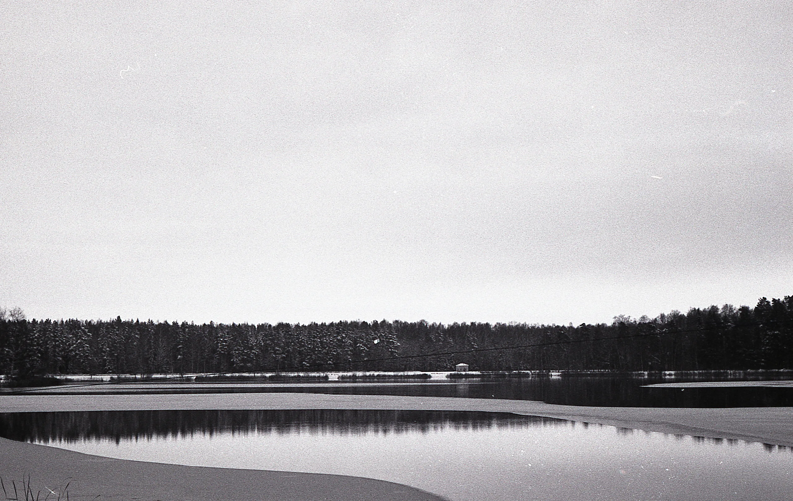 Film photograph taken on 16 January 2017
