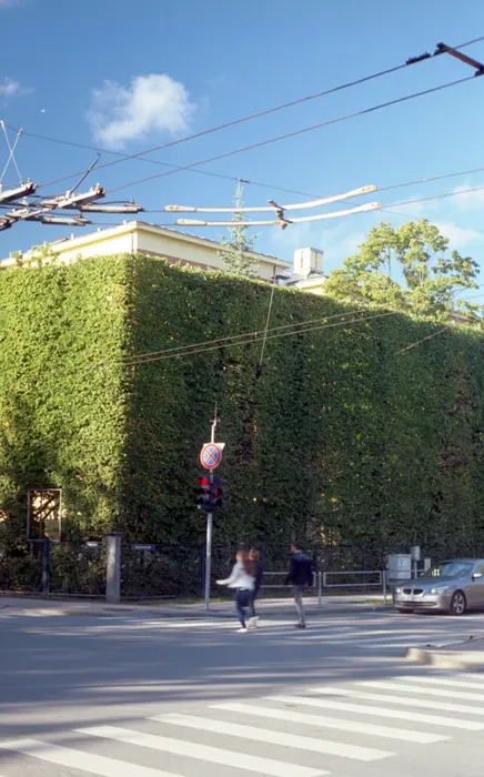 Film photograph taken on 8 September 2016