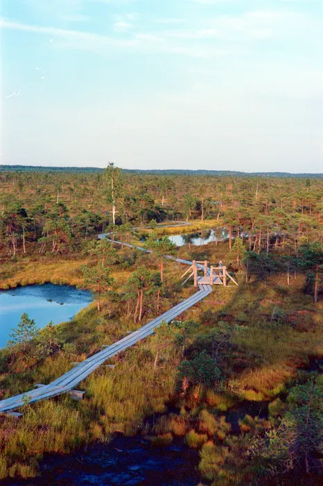Film photograph taken on 19 August 2021