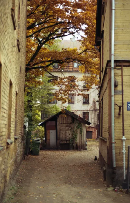 Film photograph taken on 8 November 2015