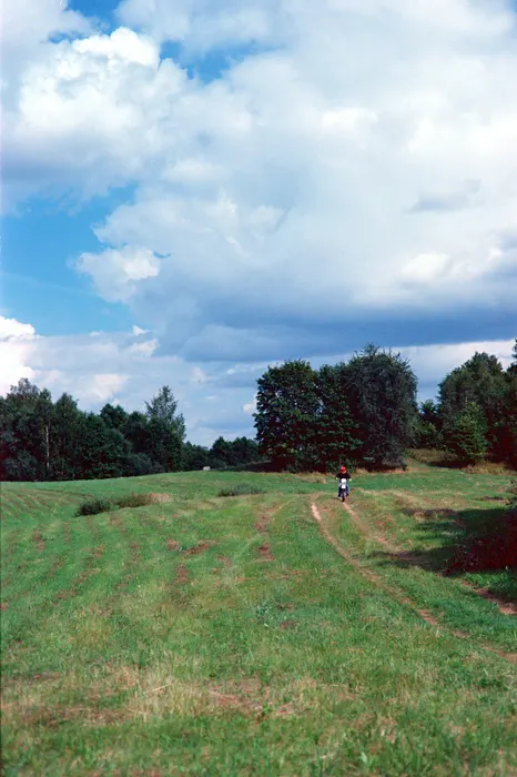 Film photograph taken on 19 August 2021