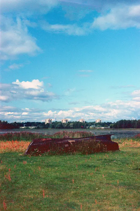 Film photograph taken on 19 August 2021