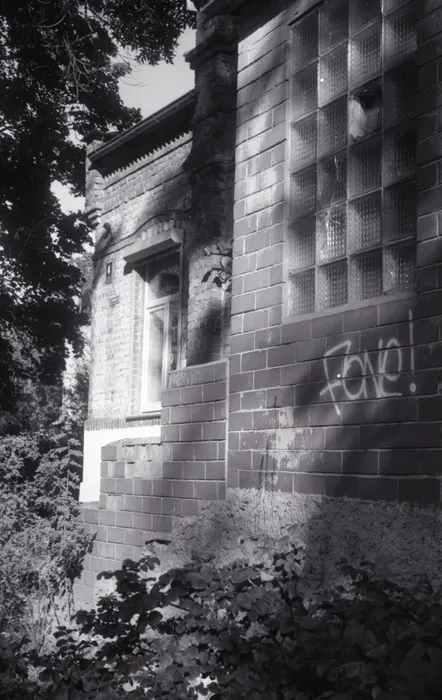 Film photograph taken on 16 January 2017