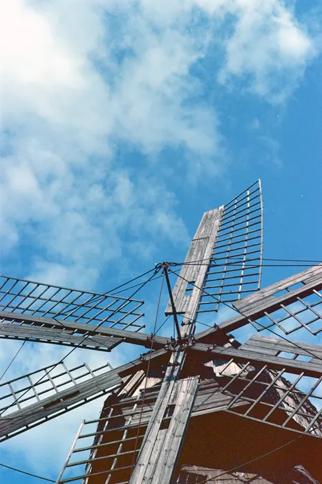 Film photograph taken on 19 August 2021