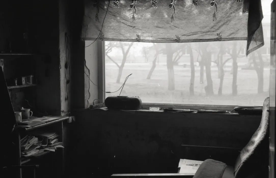 Film photograph taken on 7 September 2017