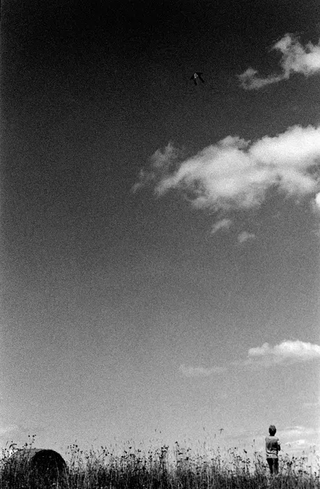 Film photograph taken on 12 November 2019