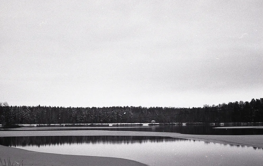 Film photograph taken on 16 January 2017