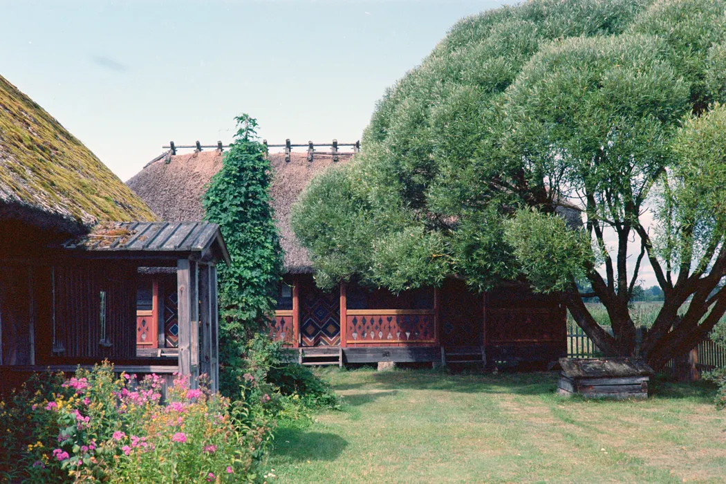 Film photograph taken on 19 August 2021
